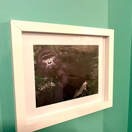 La Bonbonniere Verte Caen Esterno foto