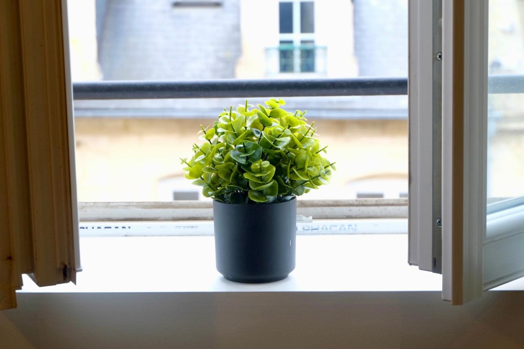Apartamento La Bonbonniere Verte *